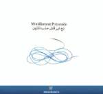 نخ غیر قابل جذب نایلون SUPA - Image 2